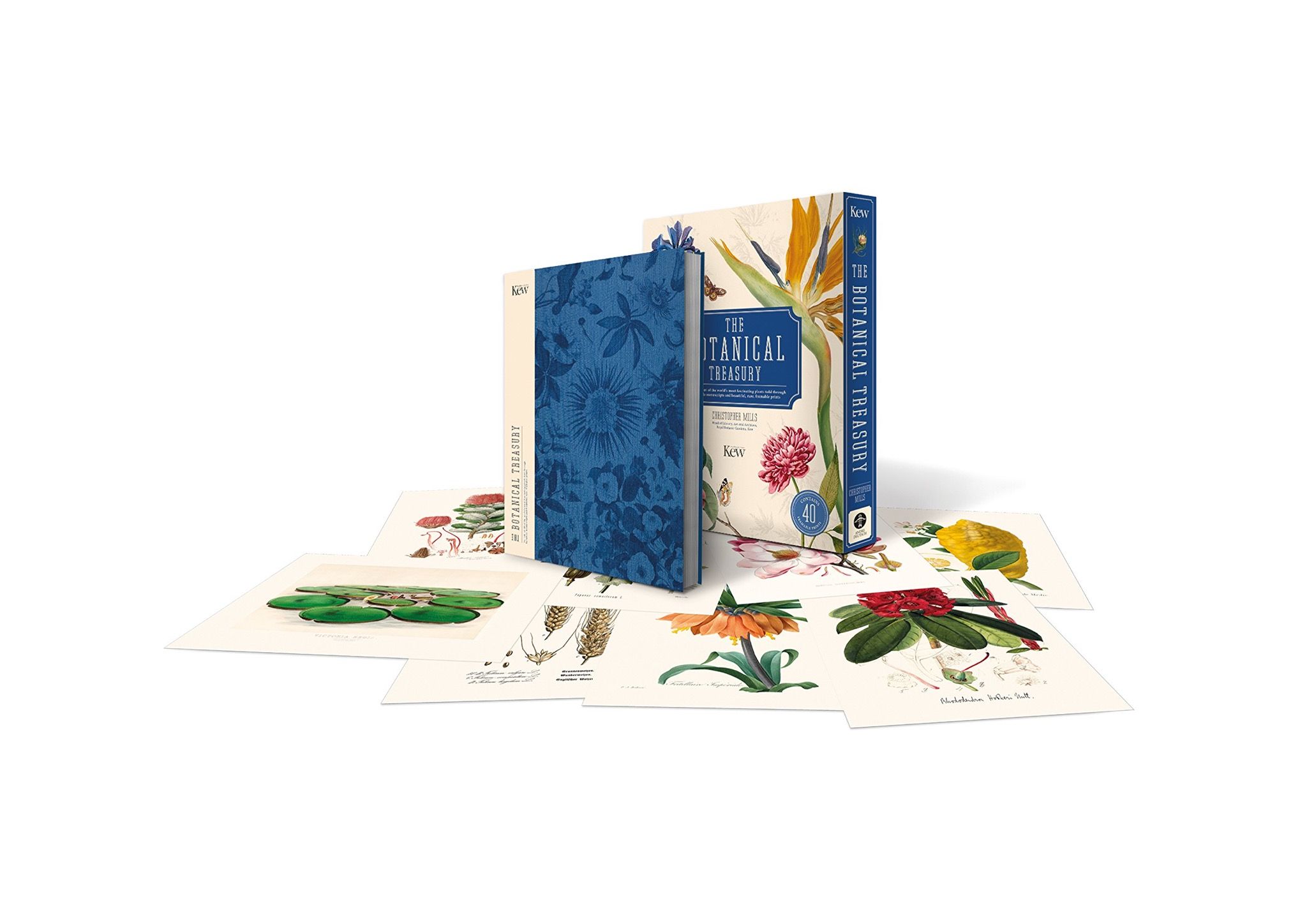 Kew - The Botanical Treasury