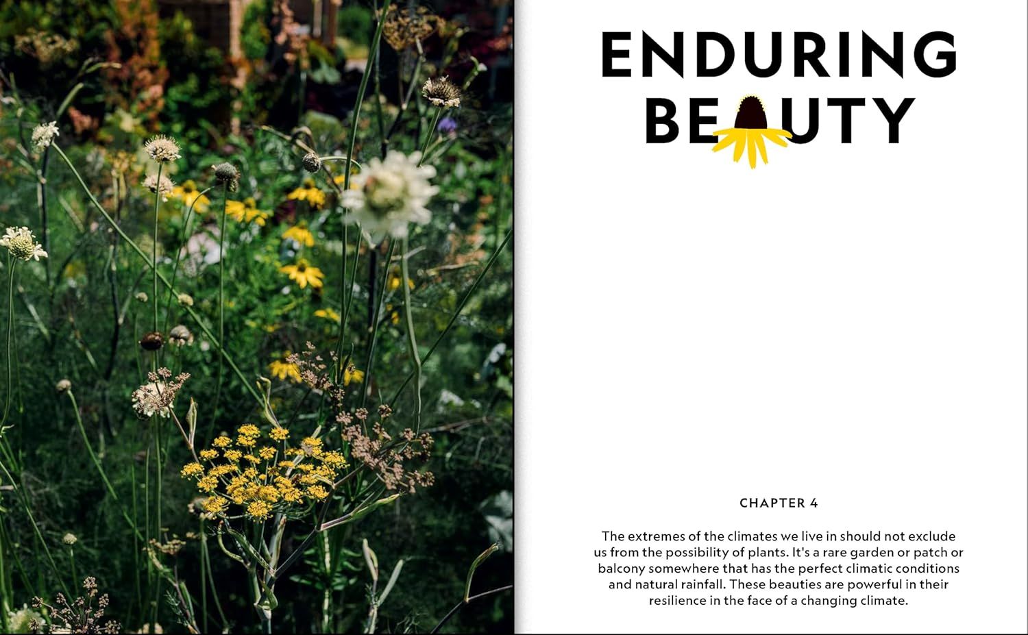 Super Bloom Handbook Maximum Flowers. Minimum Effort, The
