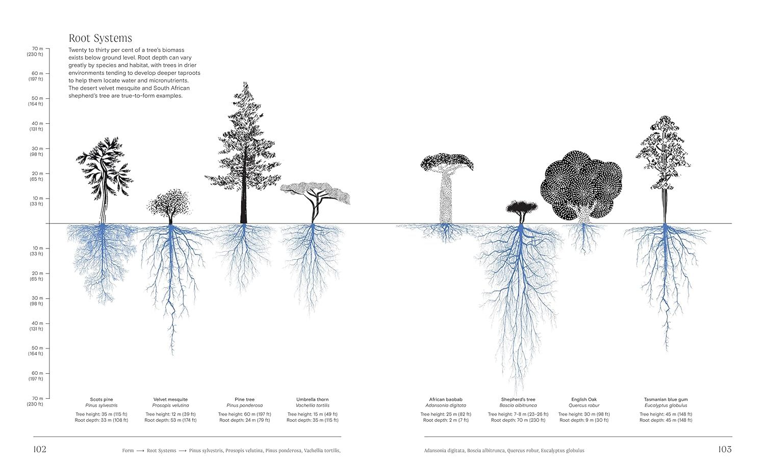  Trees: From Root to Leaf ? A Financial Times Book of the Year 