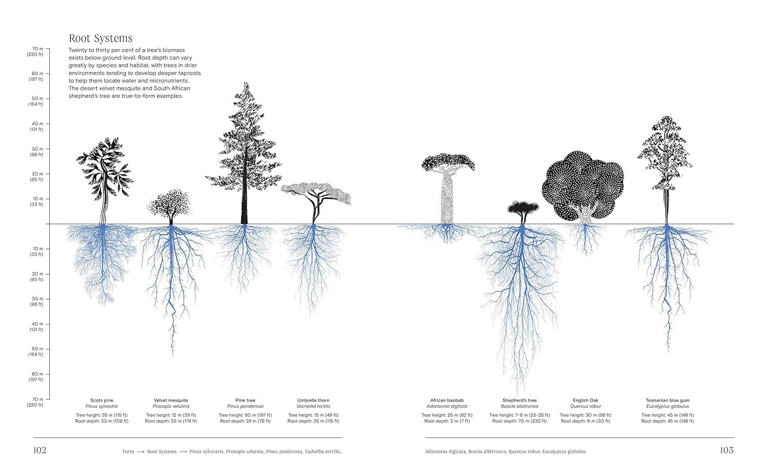 Trees: From Root to Leaf ? A Financial Times Book of the Year