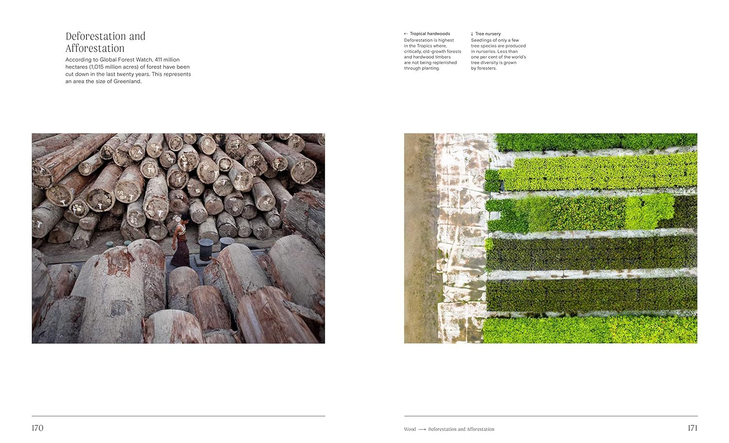 Trees: From Root to Leaf ? A Financial Times Book of the Year