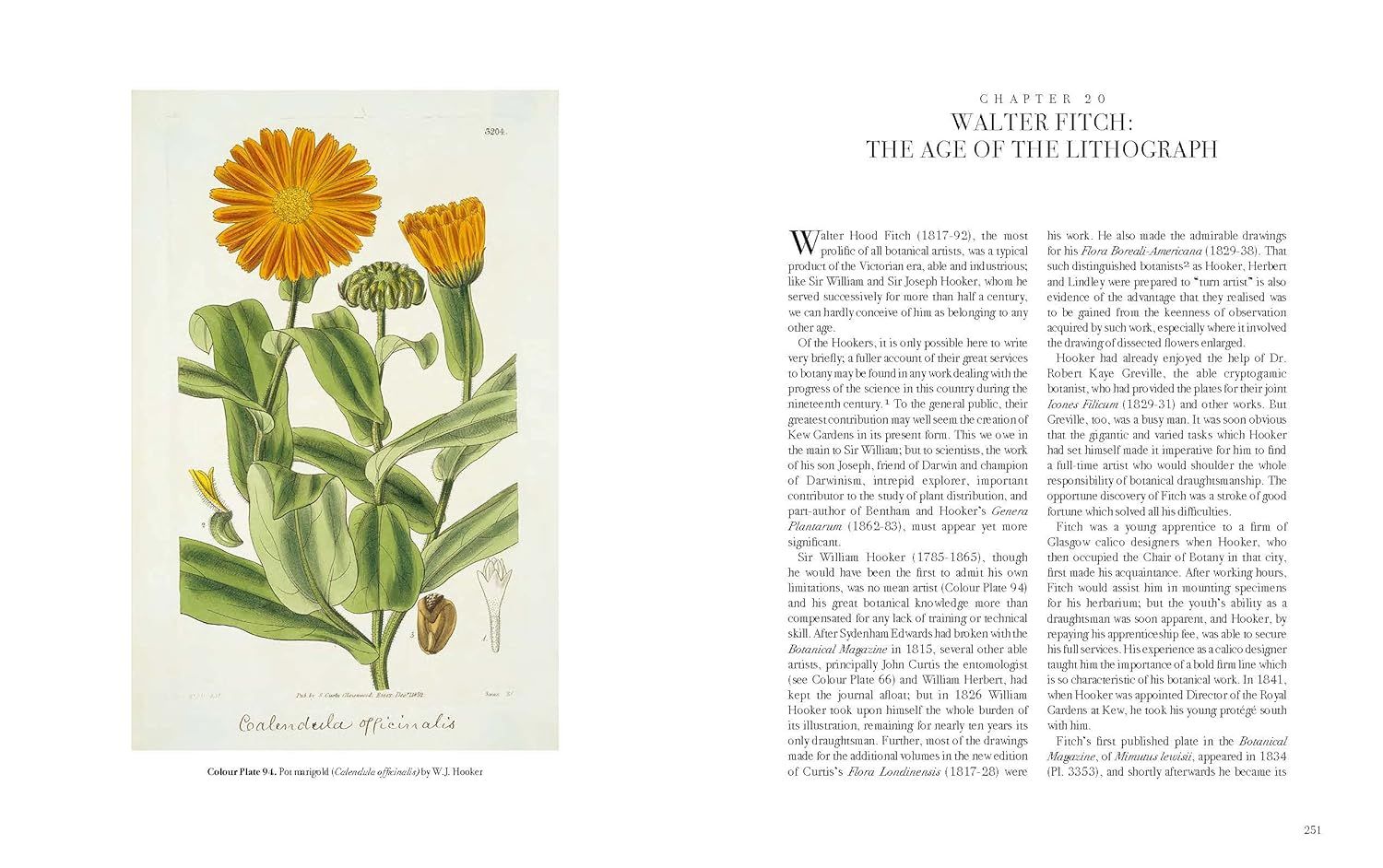 The Art of Botanical Illustration