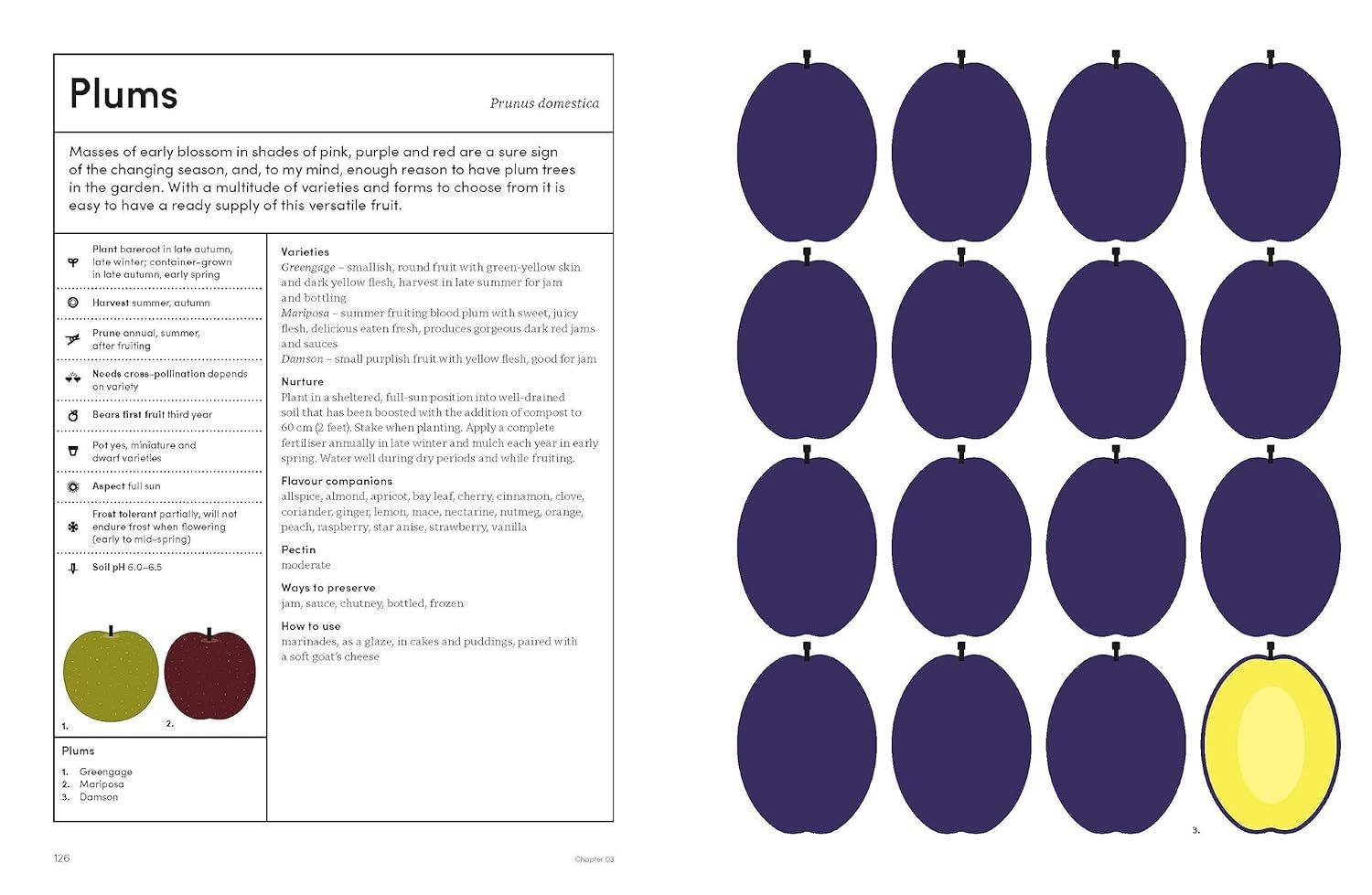 The Preserving Garden: Bottle, pickle, ferment and cook homegrown food all year round /anglais