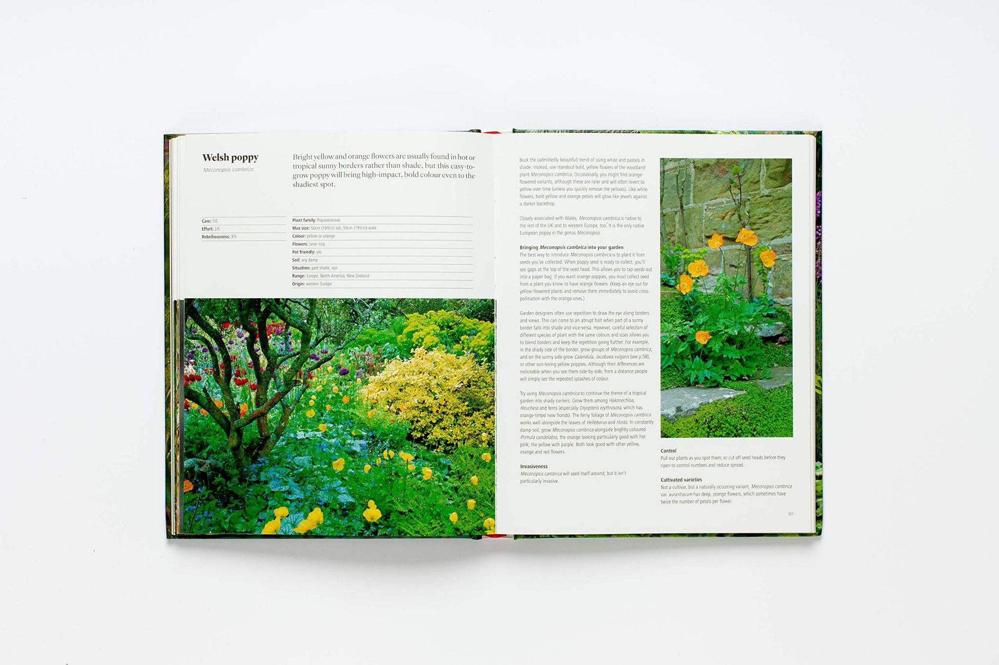 Wild About Weeds_Jack Wallington_9781786275301_Laurence King Publishing