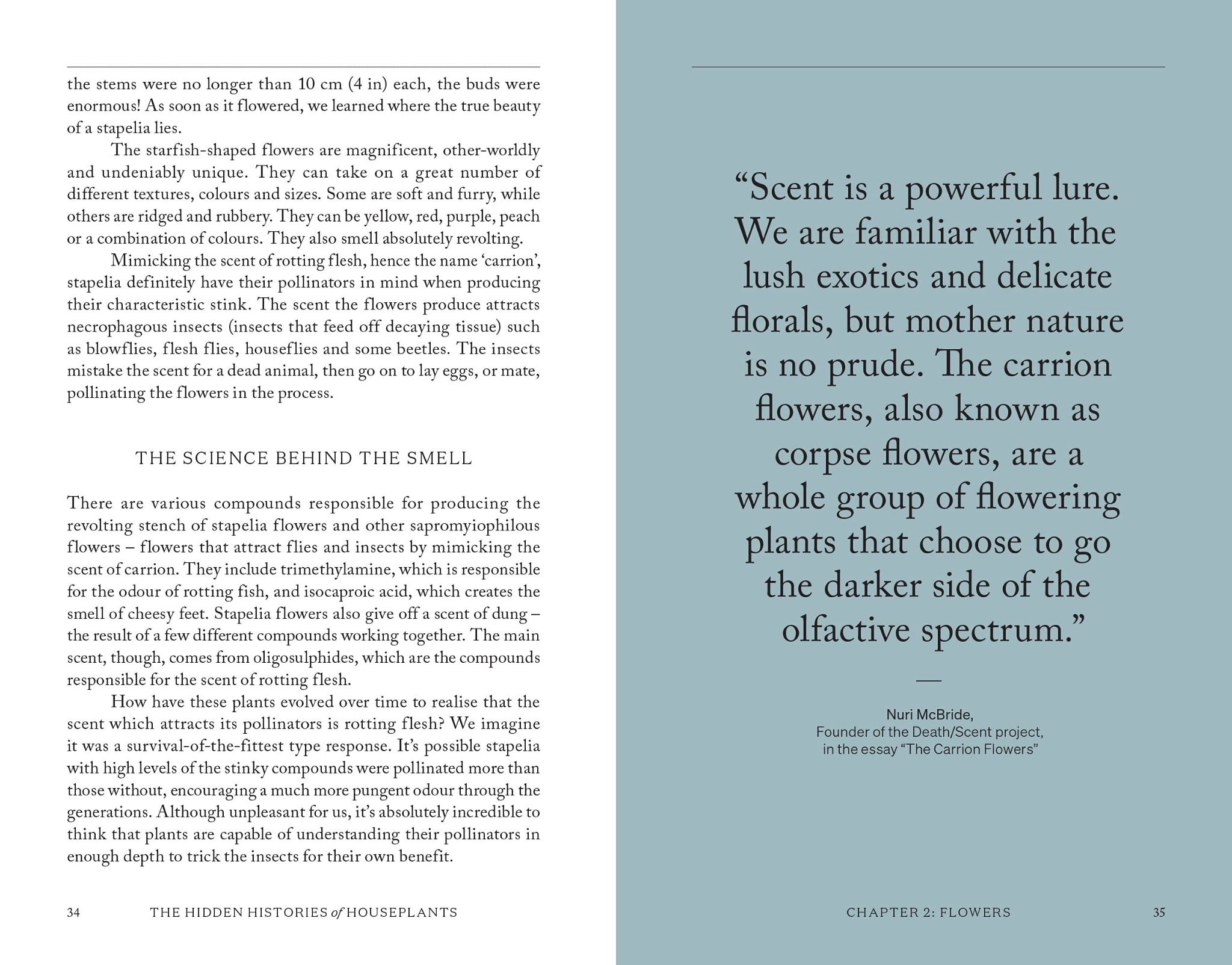 The Hidden Histories Of Houseplants: Fascinating Stories Of Our Most-Loved Houseplants_Maddie Bailey_9781784884055_Hardie Grant Books (UK)