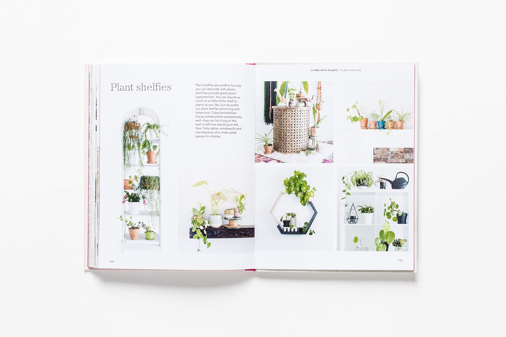 How To Raise A Plant_Morgan Doane_9781786273017_Laurence King Publishing