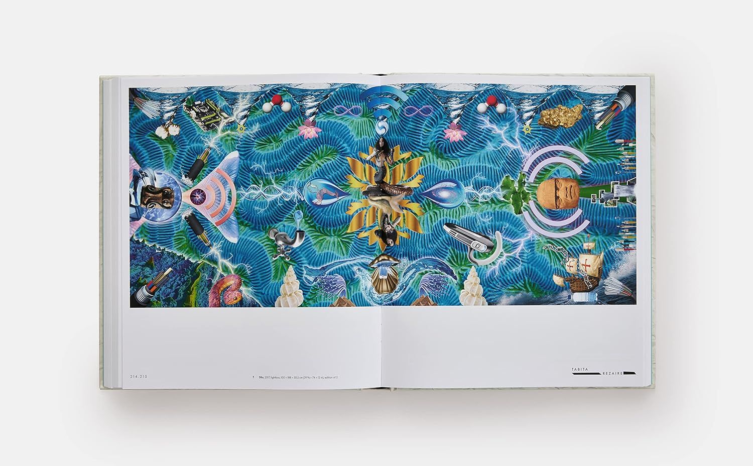Vitamin C+: Collage in Contemporary Art