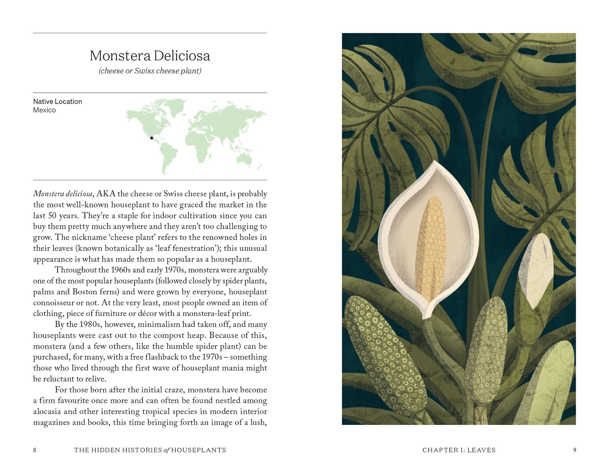 The Hidden Histories Of Houseplants: Fascinating Stories Of Our Most-Loved Houseplants_Maddie Bailey_9781784884055_Hardie Grant Books (UK)