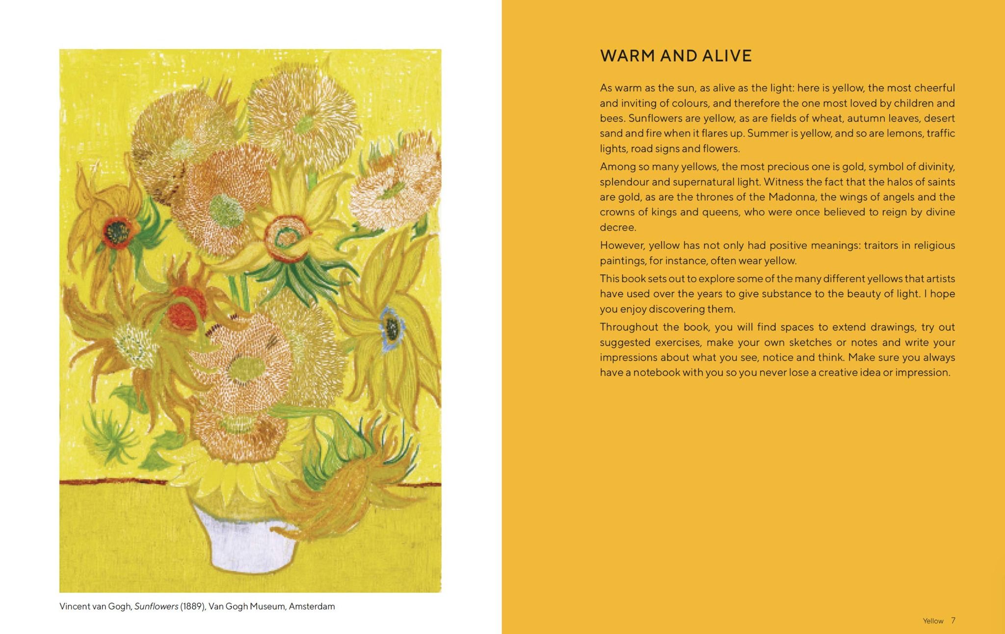 Yellow_Valentina Zucchi_9781800690226_ Welbeck Publishing Group