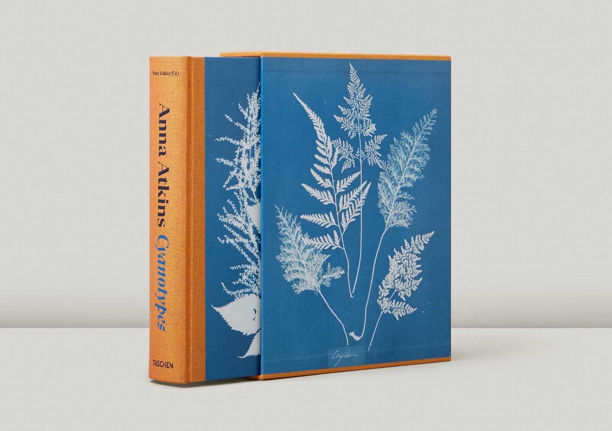 Anna Atkins: Cyanotypes