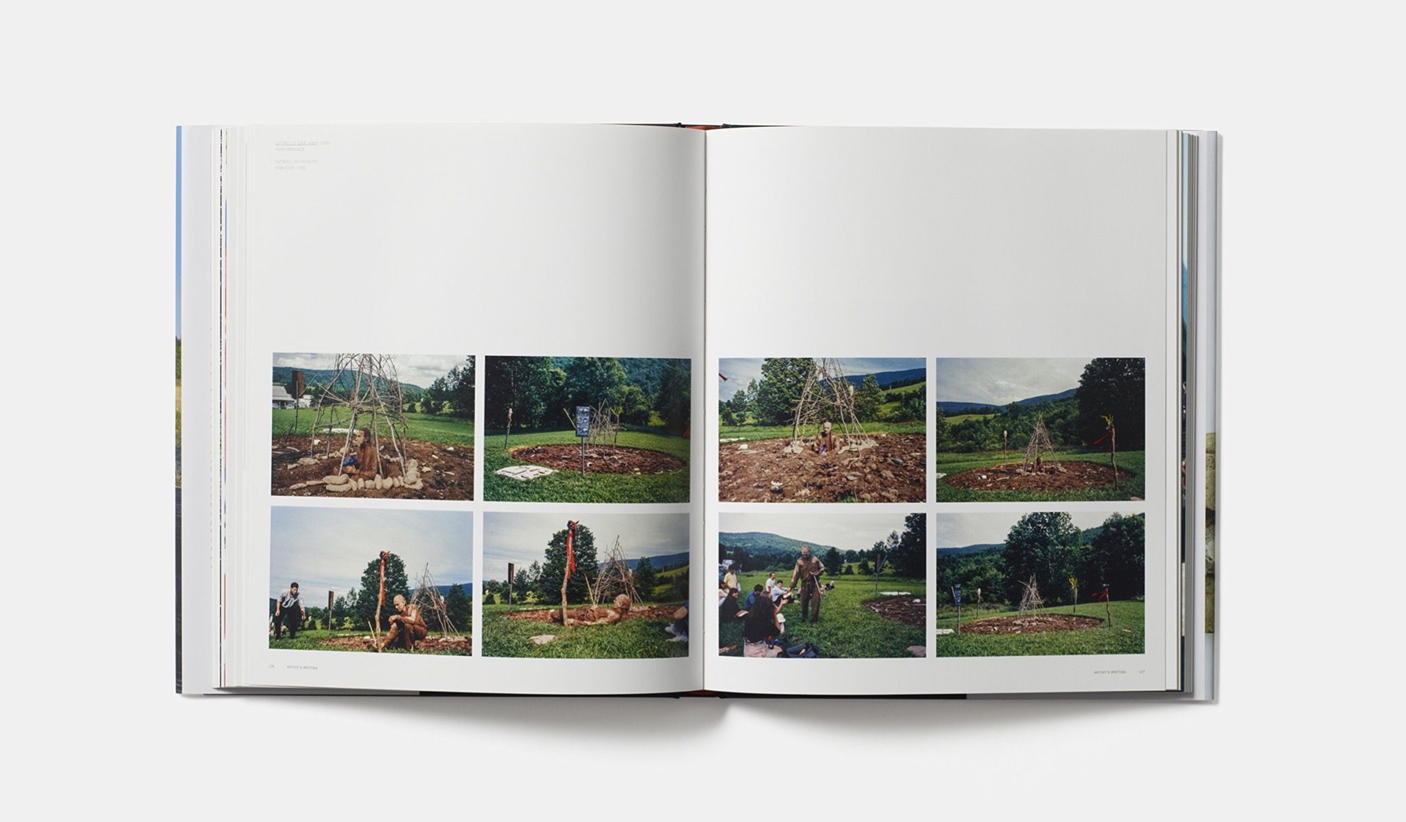 Jimmie Durham - Revised and Expanded Edition: Contemporary Artists series
