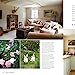 Perfect English Farmhouse