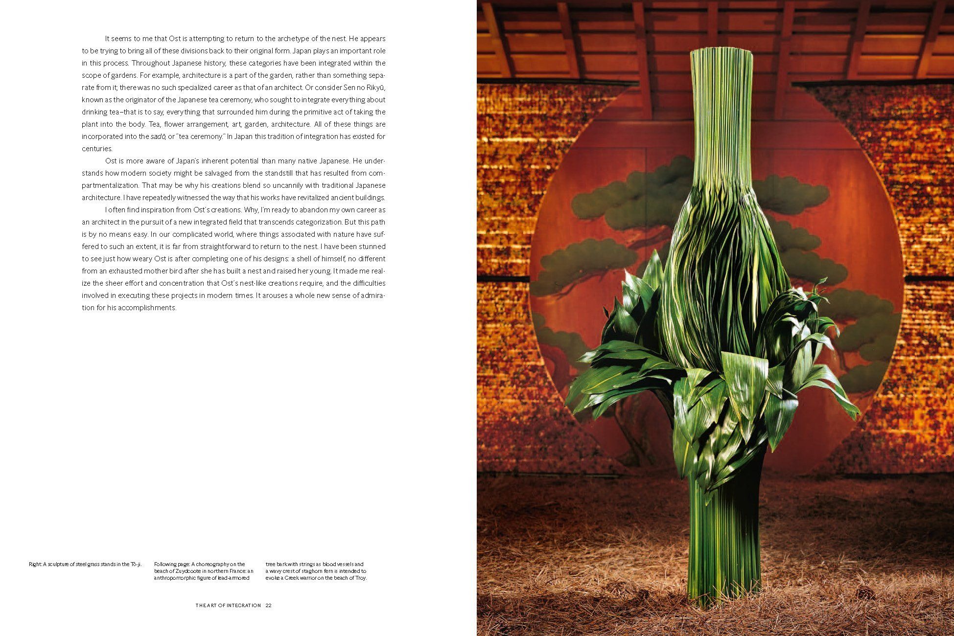 Daniel Ost: Floral Art and the Beauty of Impermanence