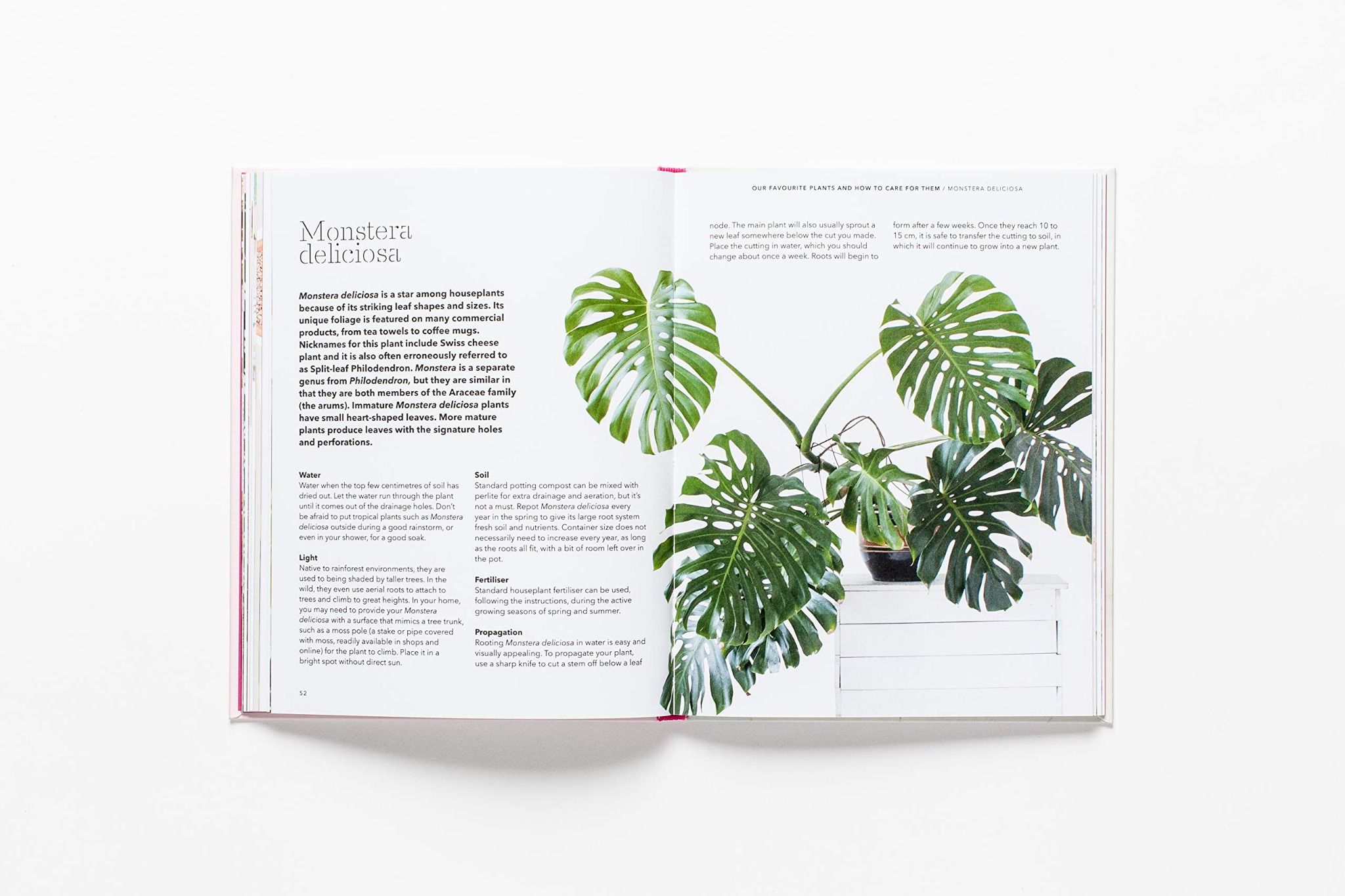 How To Raise A Plant_Morgan Doane_9781786273017_Laurence King Publishing