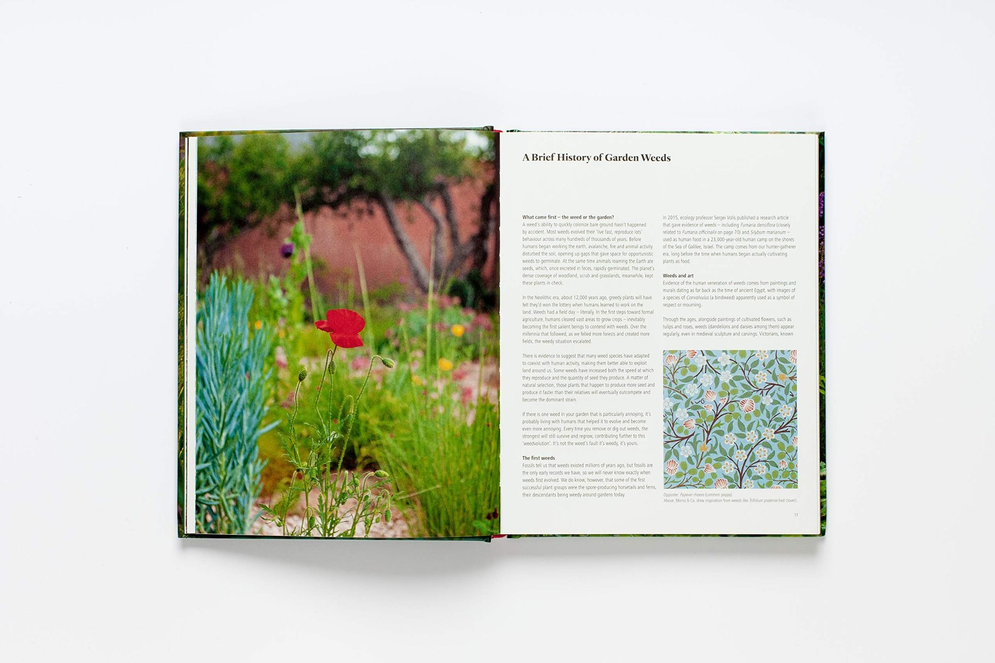 Wild About Weeds_Jack Wallington_9781786275301_Laurence King Publishing