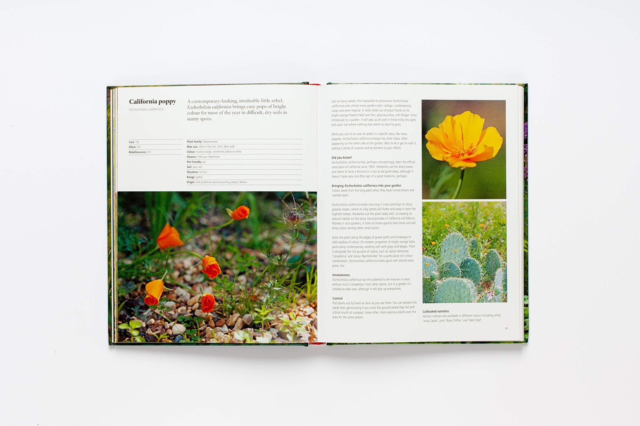 Wild About Weeds_Jack Wallington_9781786275301_Laurence King Publishing