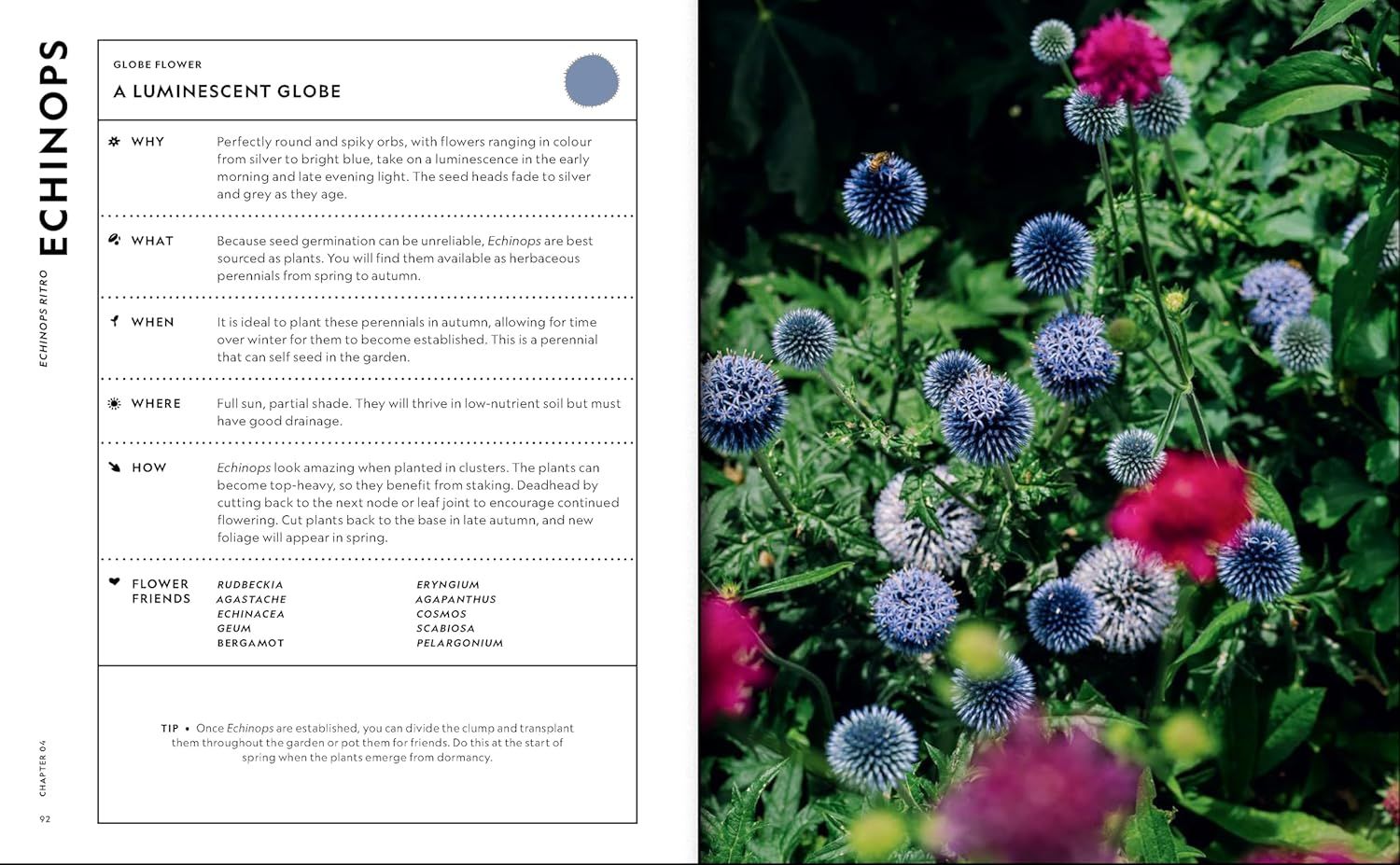 Super Bloom Handbook Maximum Flowers. Minimum Effort, The