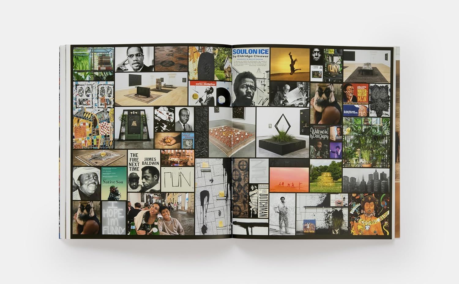 Rashid Johnson (Phaidon Contemporary Artists Series)