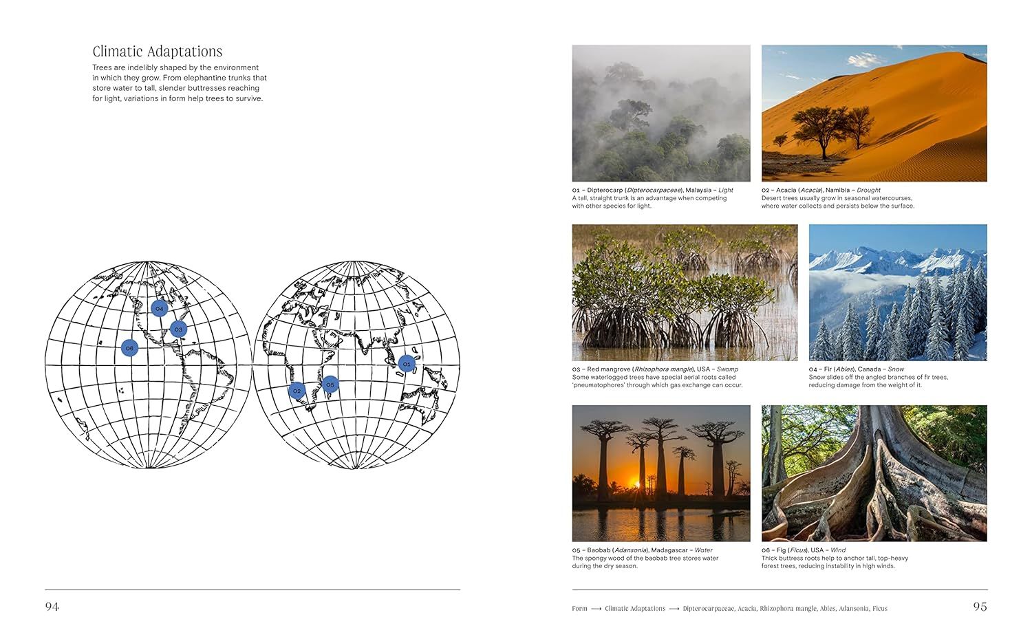 Trees: From Root to Leaf ? A Financial Times Book of the Year