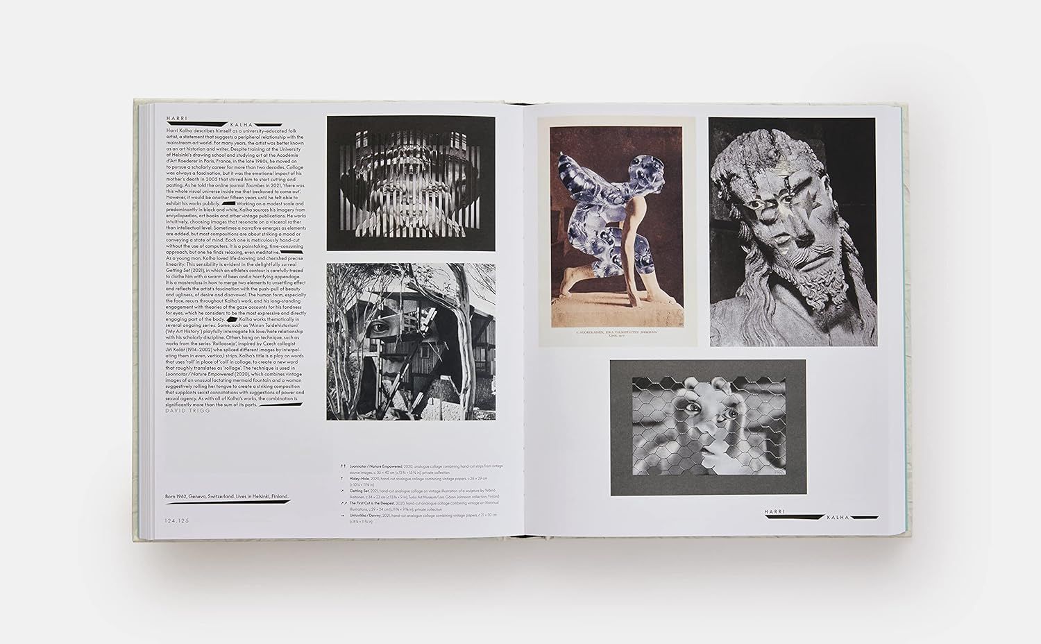 Vitamin C+: Collage in Contemporary Art