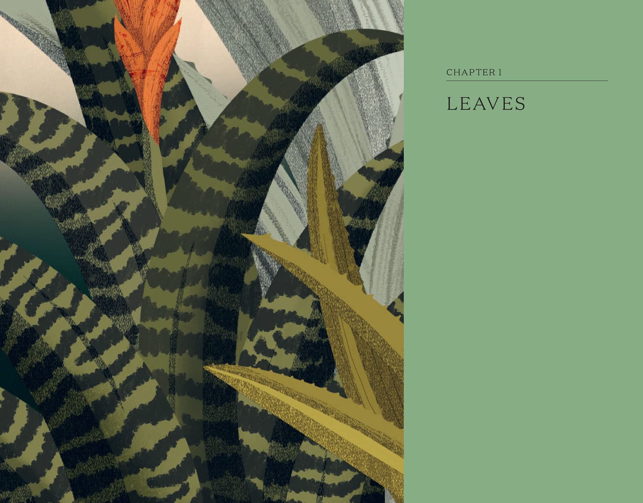 The Hidden Histories Of Houseplants: Fascinating Stories Of Our Most-Loved Houseplants_Maddie Bailey_9781784884055_Hardie Grant Books (UK)
