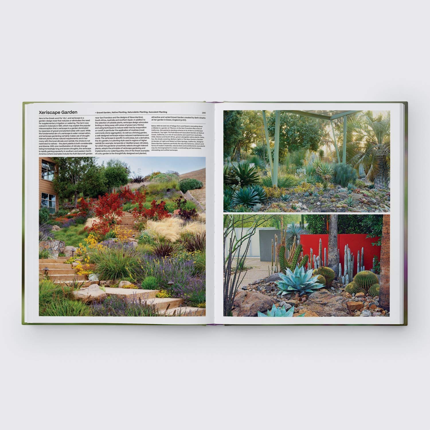 The Garden : Elements and Styles_Toby Musgrave_9781838660765_Phaidon Press Ltd