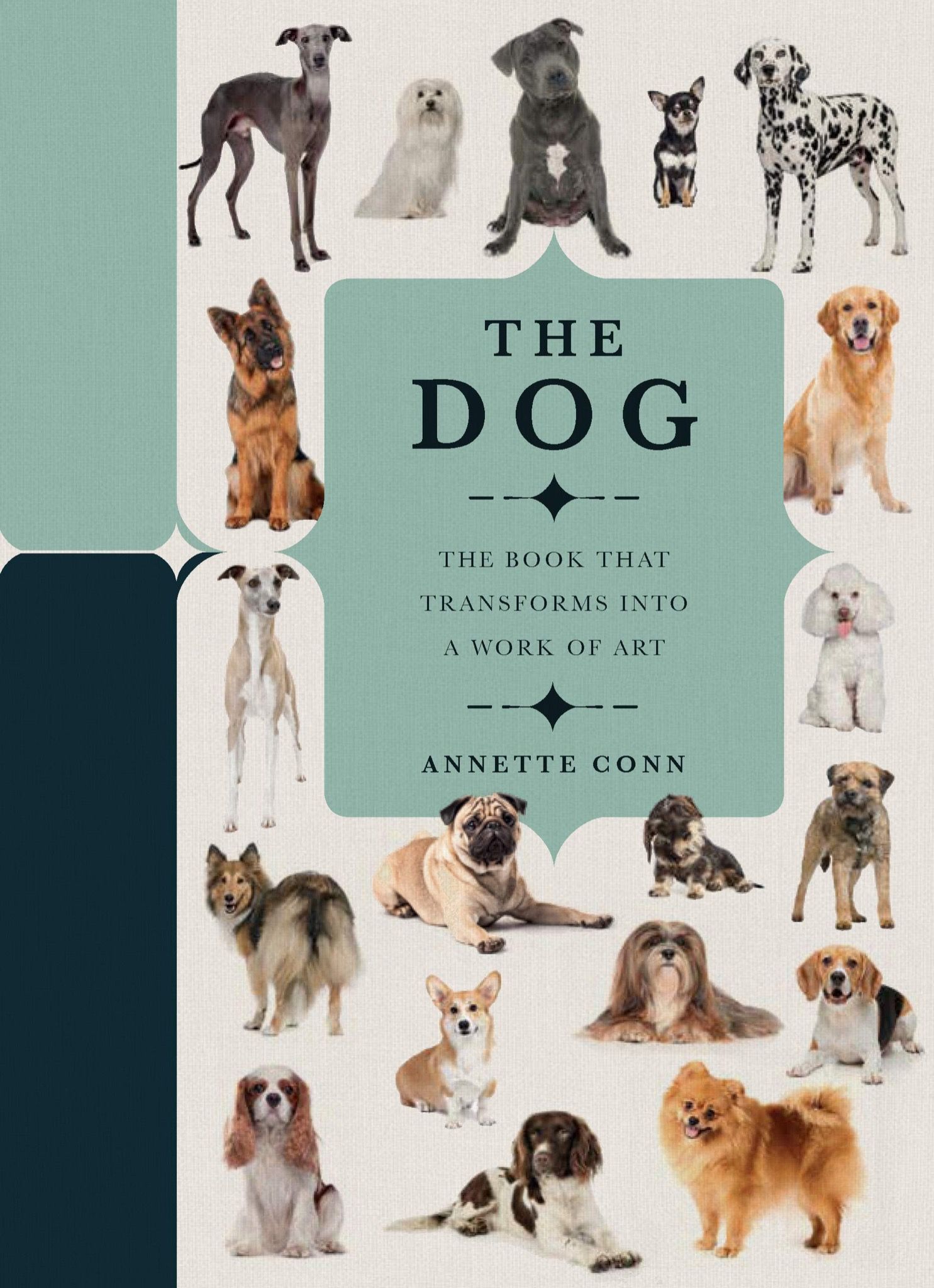 The Dog: A Book That Transforms Into a Work of Art
