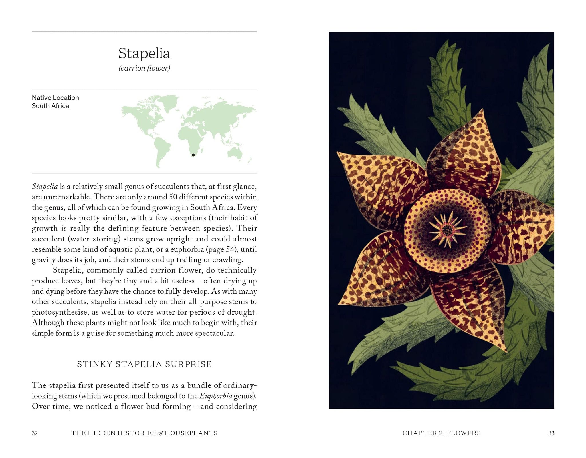 The Hidden Histories Of Houseplants: Fascinating Stories Of Our Most-Loved Houseplants_Maddie Bailey_9781784884055_Hardie Grant Books (UK)