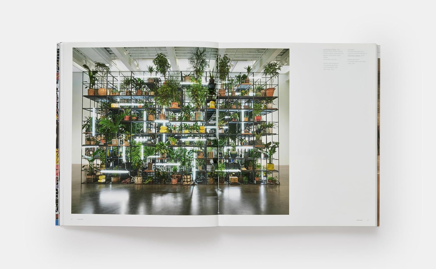 Rashid Johnson (Phaidon Contemporary Artists Series)