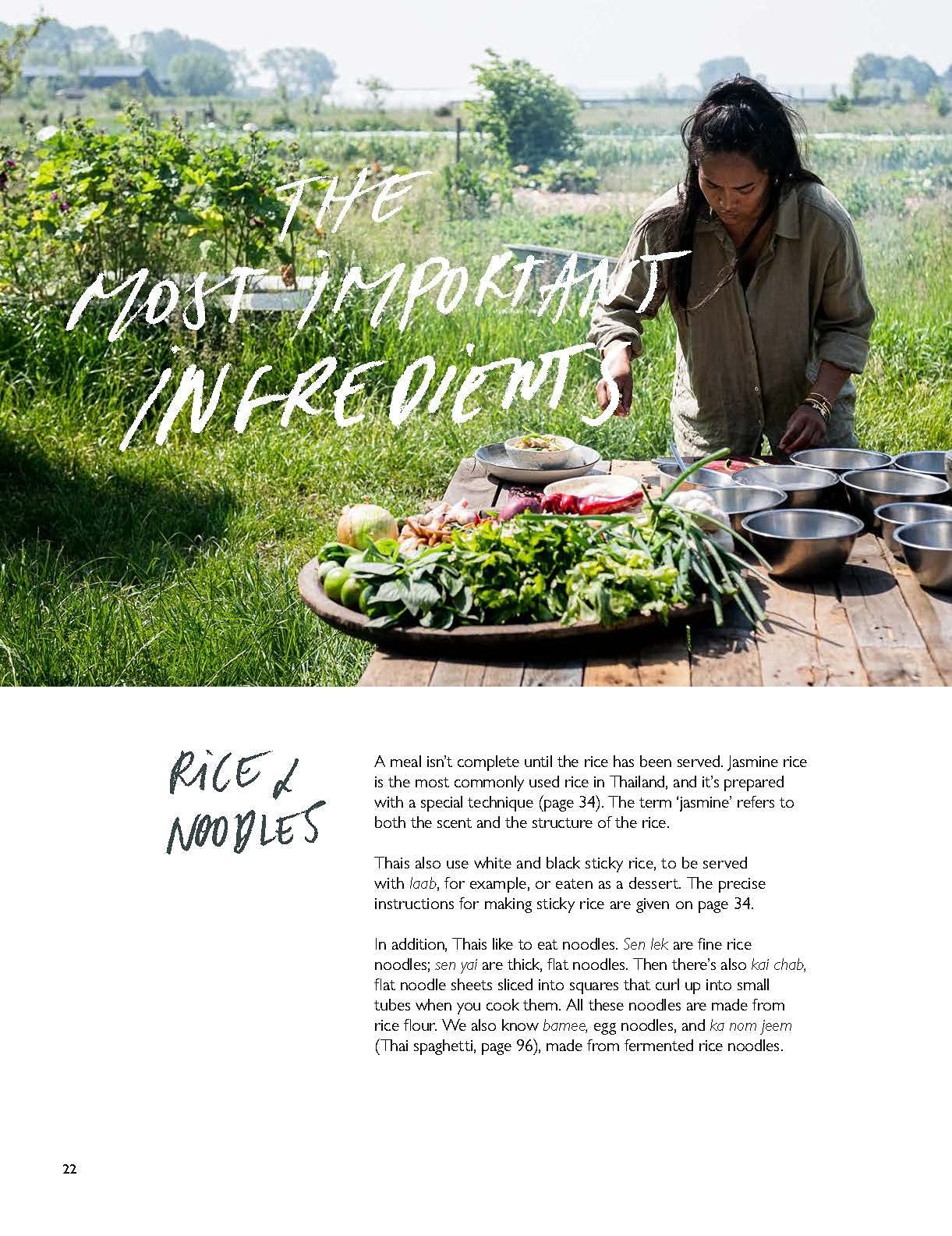 The Thai Kitchen Of Boo Raan - Sharing Recipes From Dokkoon Kapueak (H)_Dokkoon Kapueak_9789401479233_Lannoo