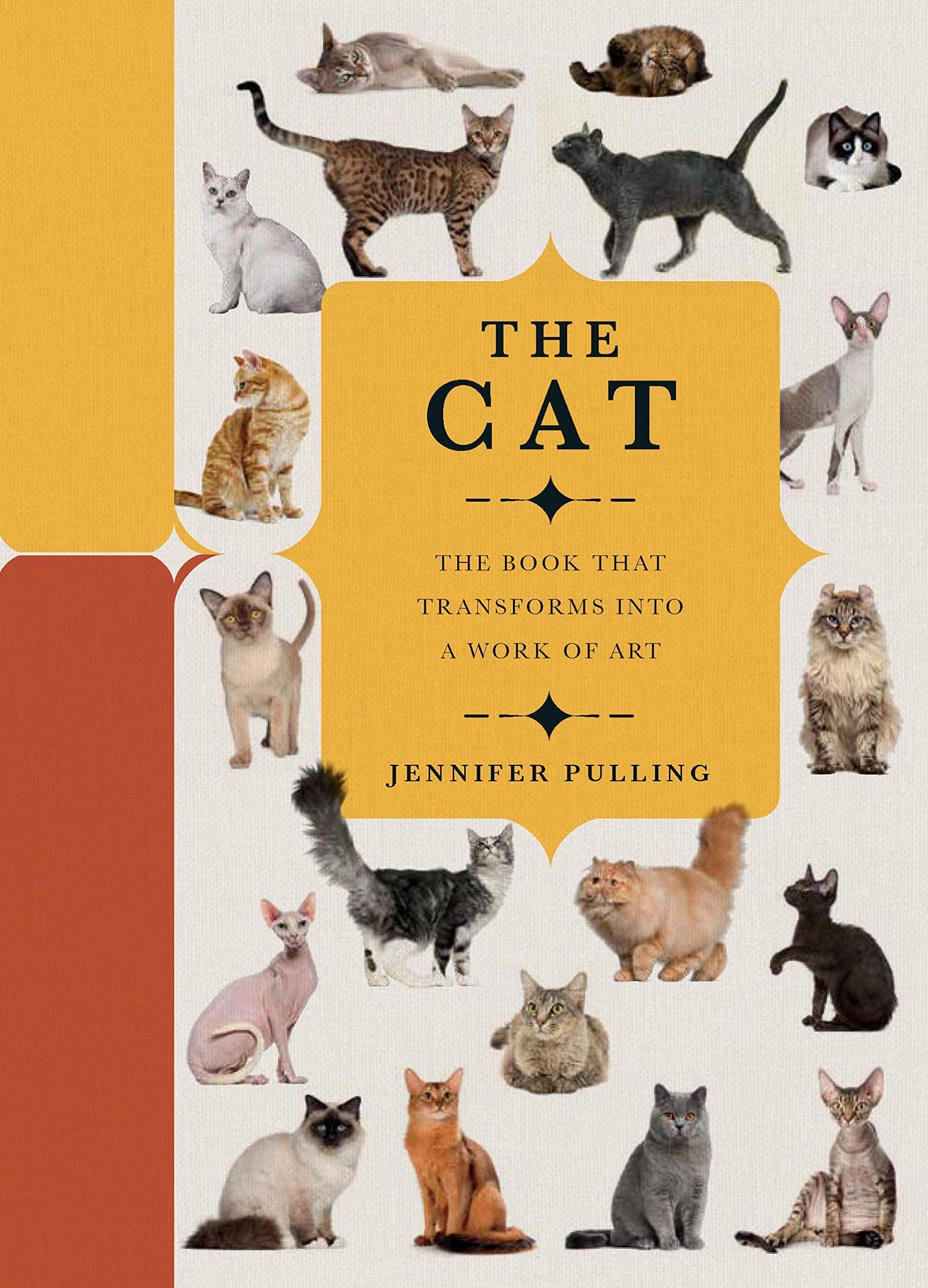 The Cat: A Book That Transforms Into a Work of Art