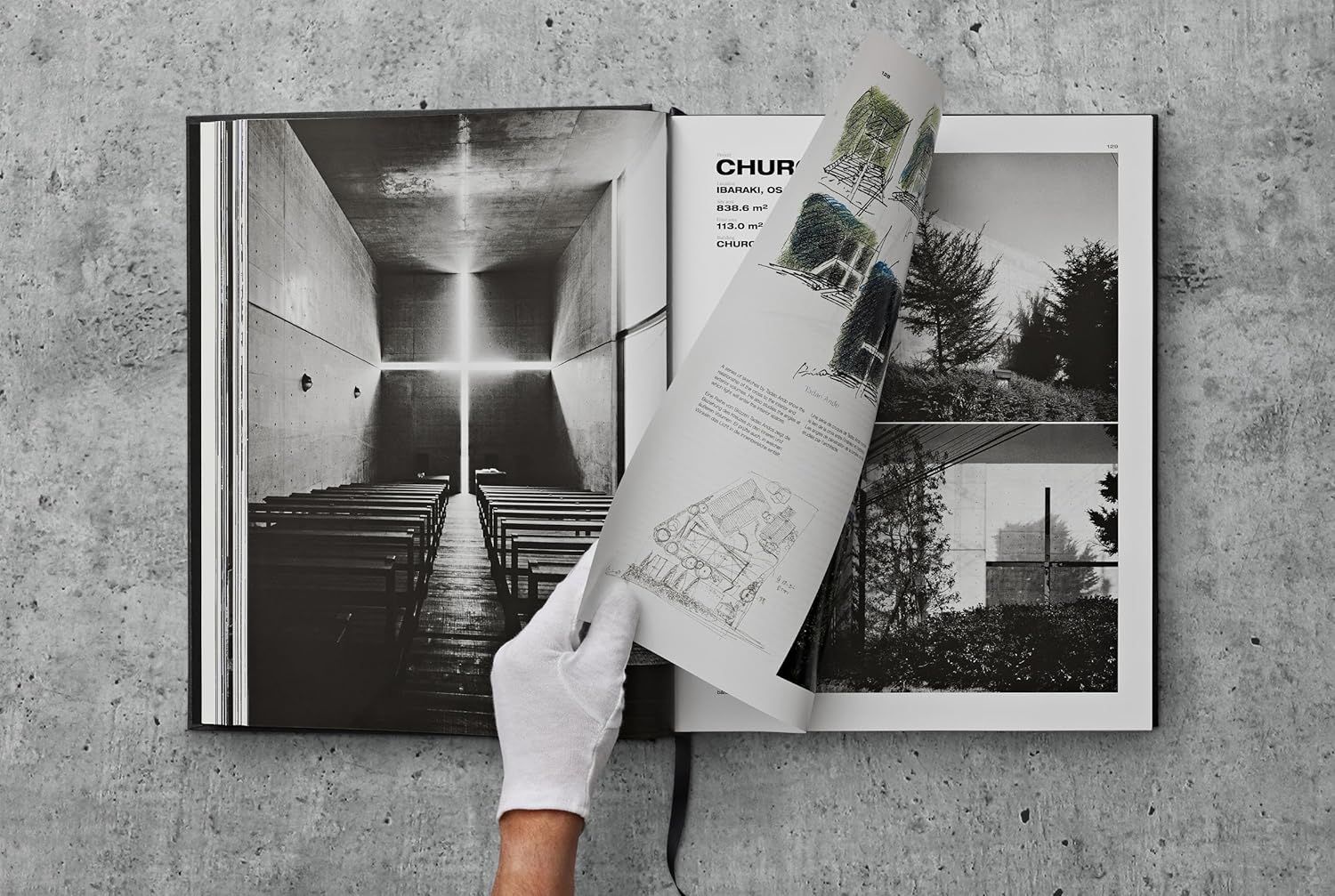 Ando: Complete Works 1975 - Today