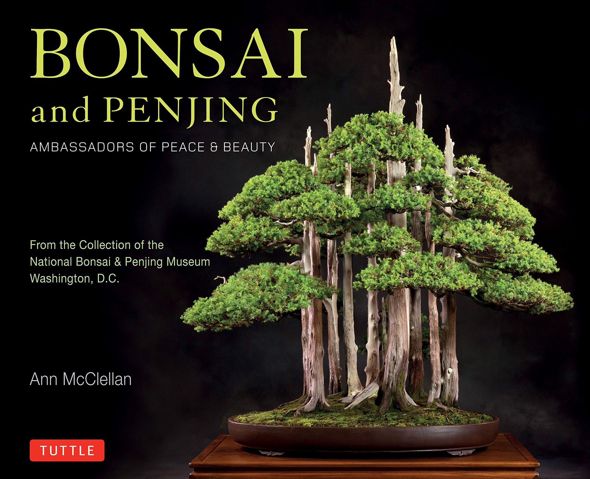 Bonsai and Penjing_Tuttle Publishing_9780804847018_ Ann Mcclellan
