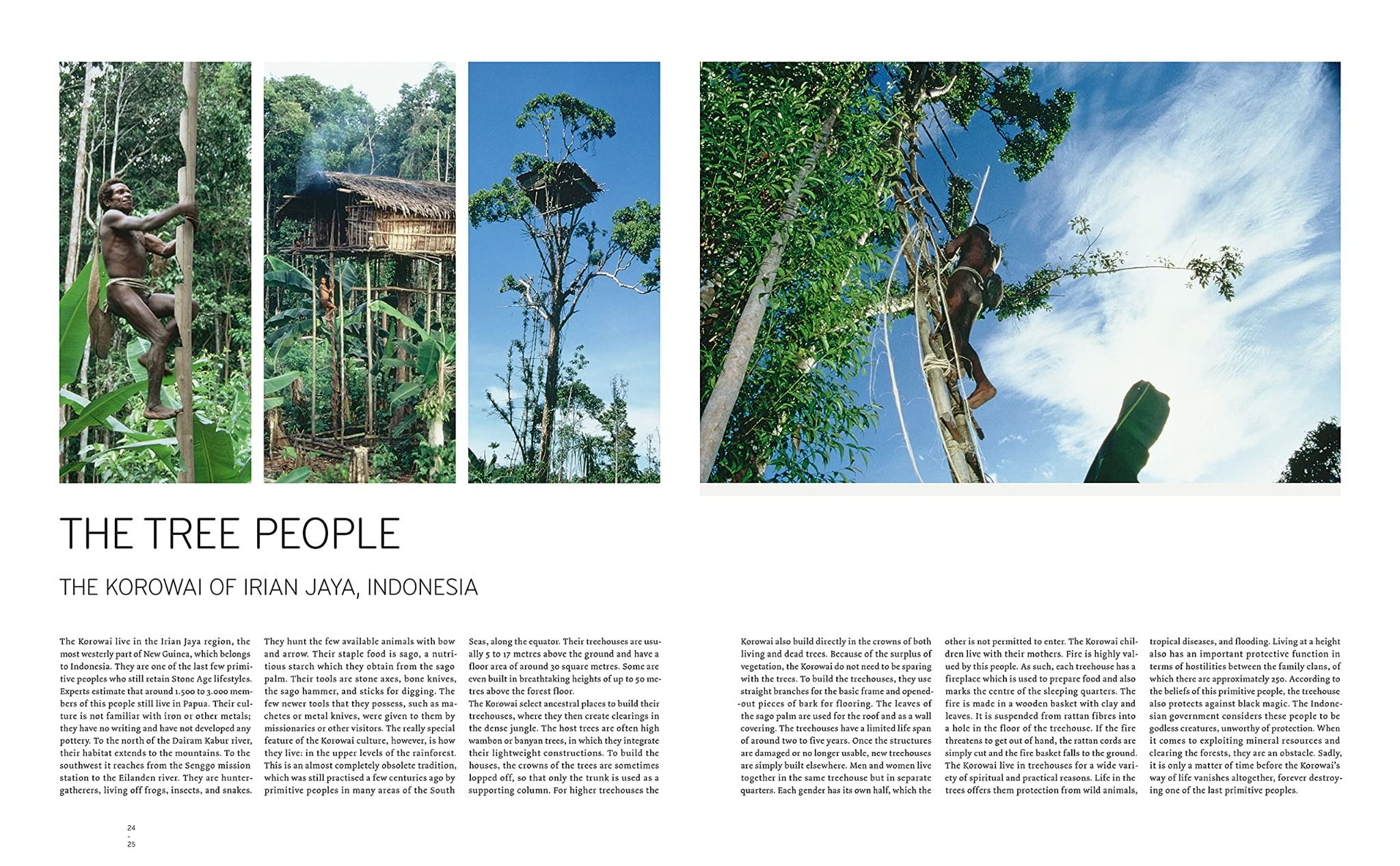 Treehouses and Other Modern Hideaways_Andreas Wenning_9783869227368_DOM Publishers