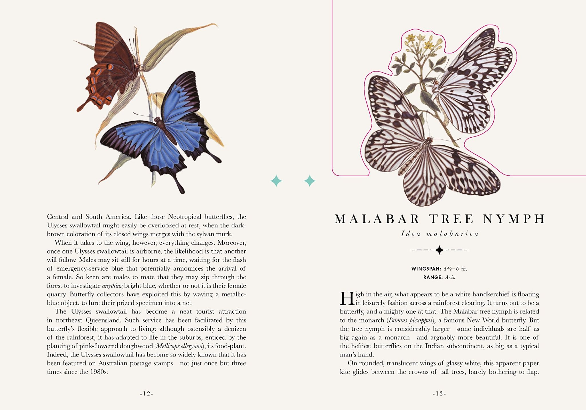 The Butterfly Pavilion_James Lowen_9780233005591_ Welbeck Publishing Group
