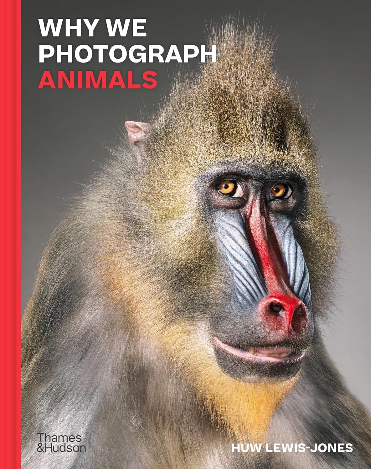  Why We Photograph Animals 