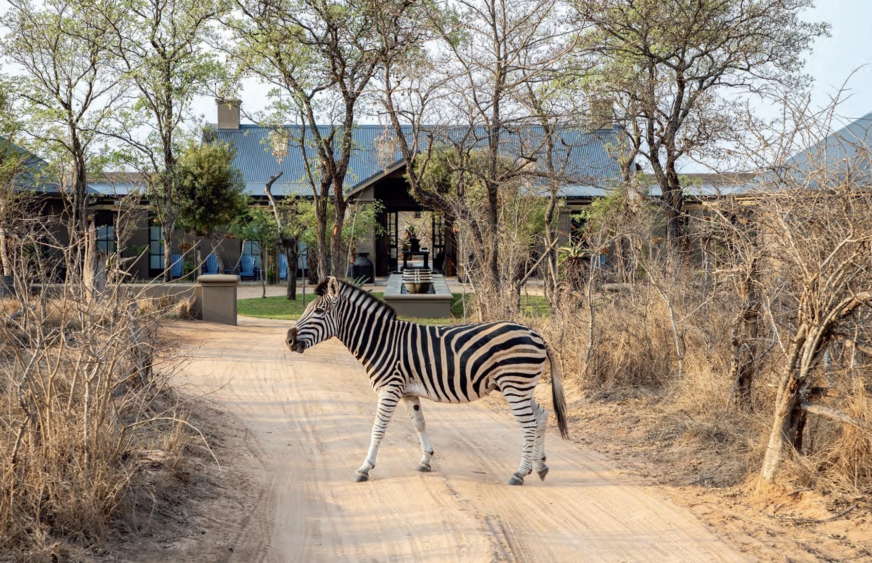 Safari Style: Exceptional African Camps And Lodges_Melissa Biggs Bradley_9780865653863_Vendome Press