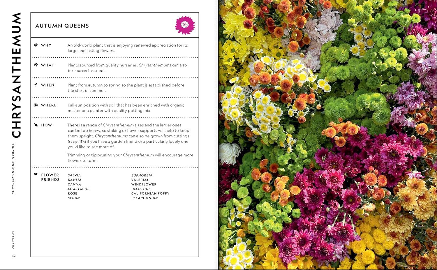 Super Bloom Handbook Maximum Flowers. Minimum Effort, The