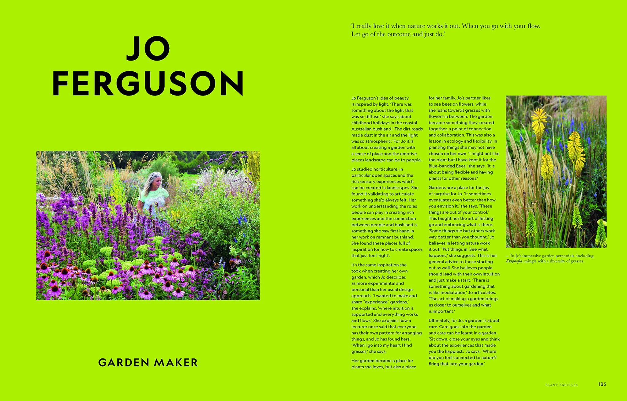 Super Bloom: A Field Guide To Flowers For Every Gardener