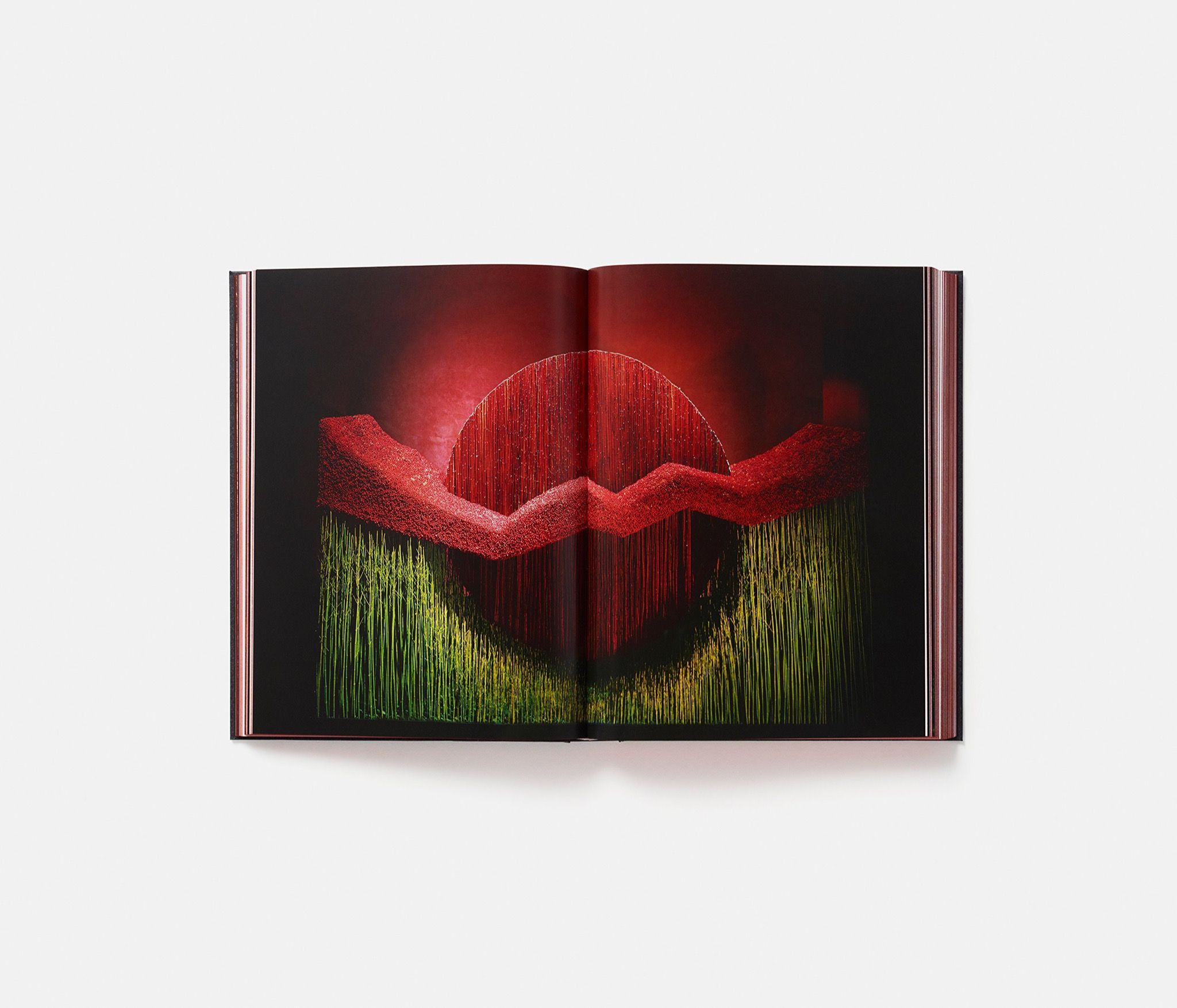 Daniel Ost: Floral Art and the Beauty of Impermanence