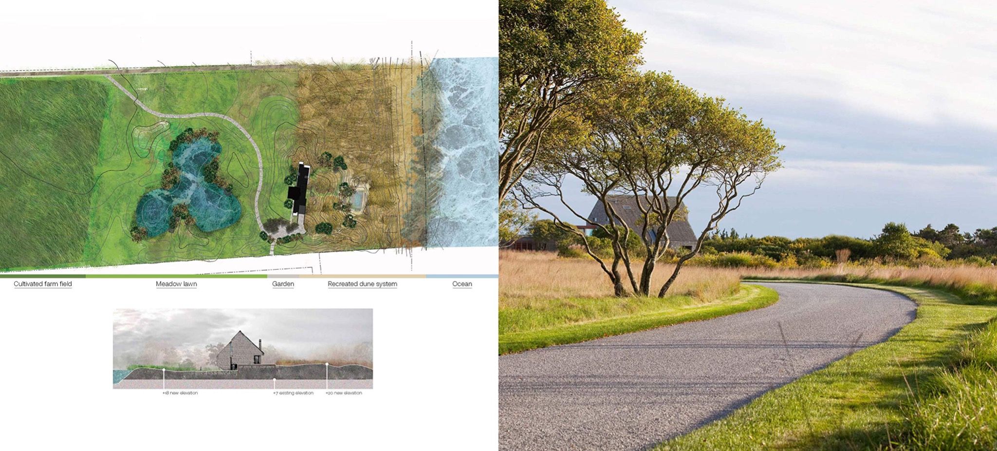 Contemporary Gardens of the Hamptons : LaGuardia Design Group 1990-2020