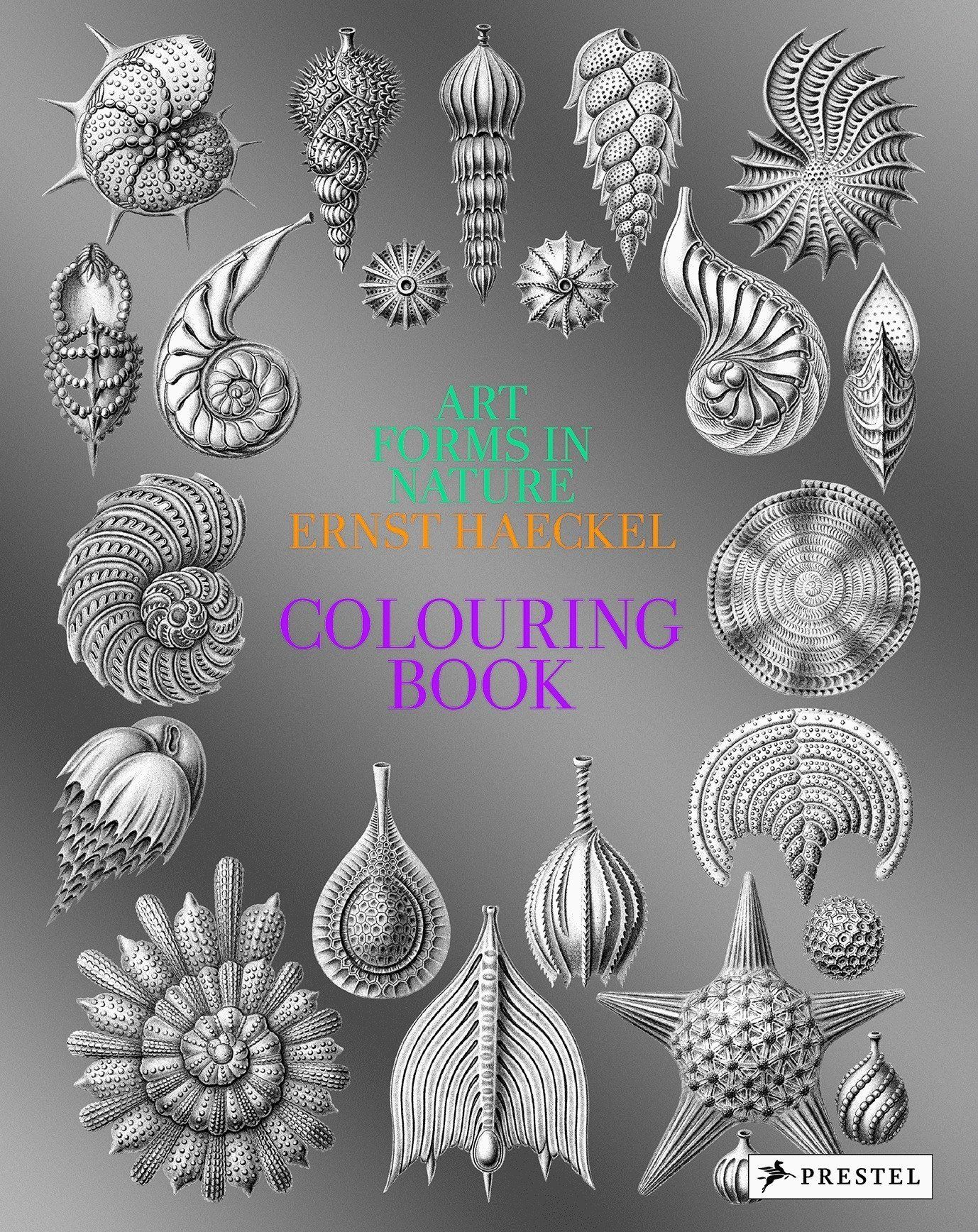Art Forms in Nature: A Colouring Book of Ernst Haeckel's Prints