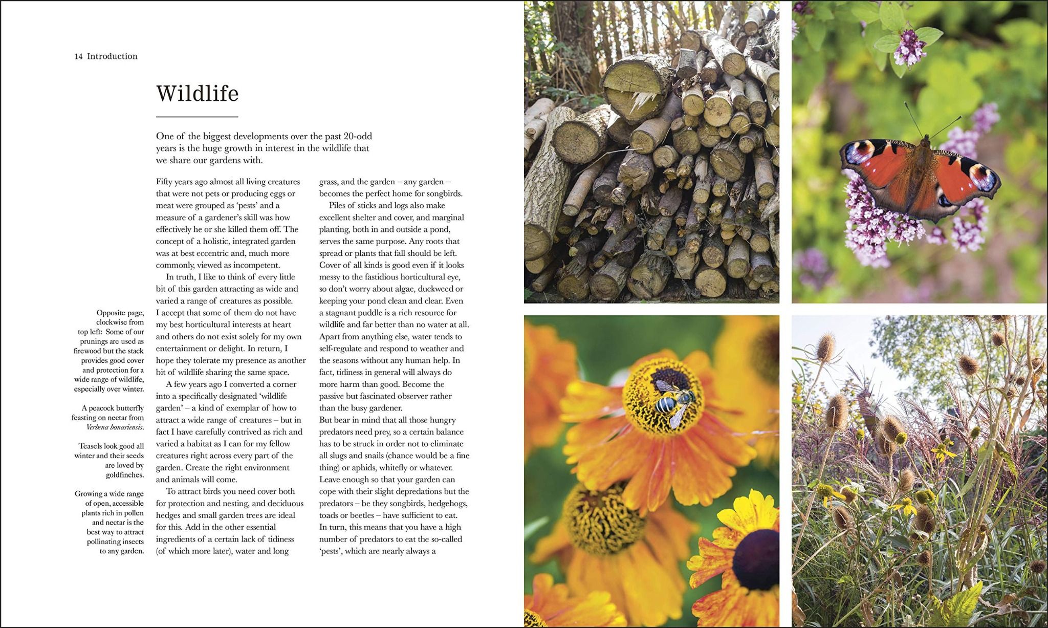 The Complete Gardener : A Practical, Imaginative Guide to Every Aspect of Gardening_Monty Don_9780241424308_Dorling Kindersley Ltd