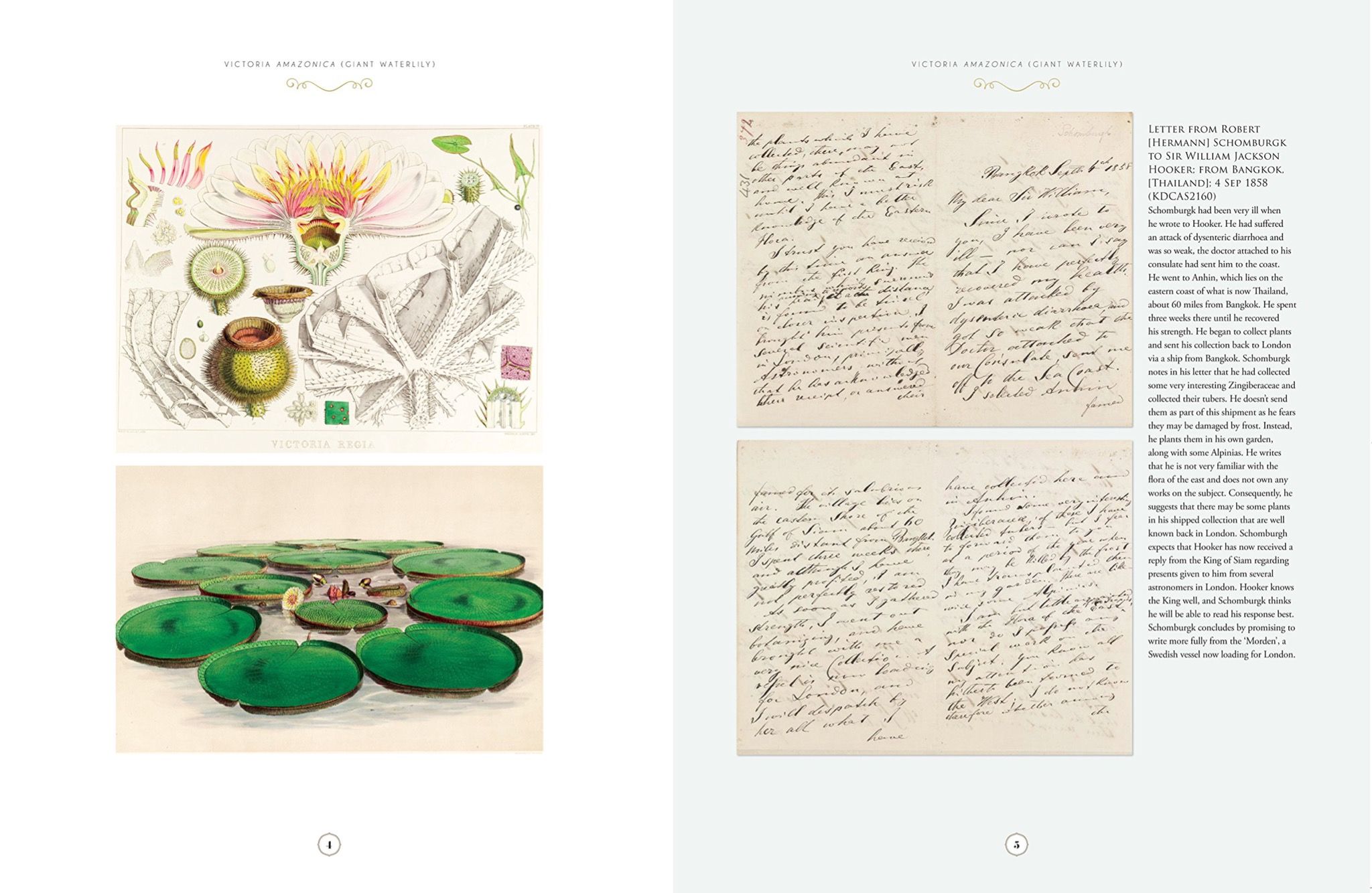 Kew - The Botanical Treasury