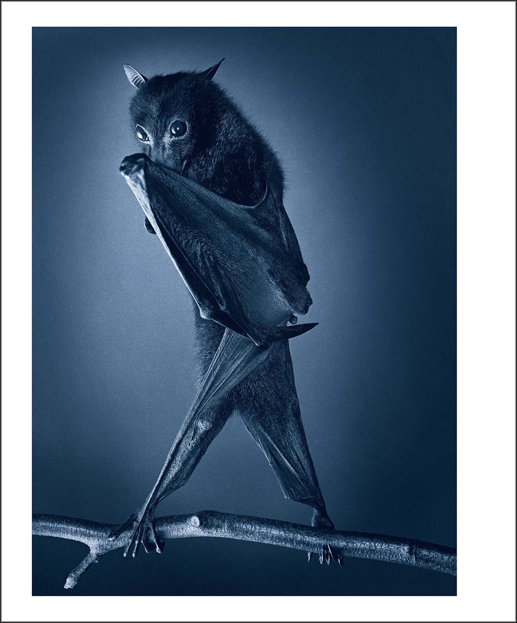 Photographers On The Art Of Photography_Charles Moriarty_9781788840880_ACC Art Books