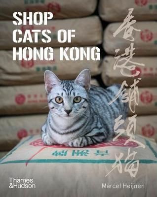 Shop Cats of Hong Kong_ Marcel Heijnen_9780500296233_Thames and Hudson
