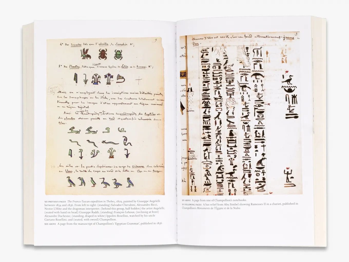 Cracking the Egyptian Code : The Revolutionary Life of Jean-Francois Champollion