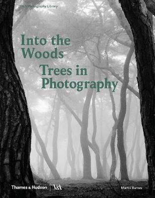 Into the Woods: Trees in Photography_Martin Barnes_9780500480533_Thames & Hudson