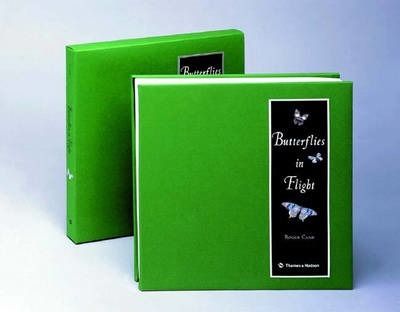 Butterflies in Flight_Roger Camp_9780500510902_Thames & Hudson Ltd