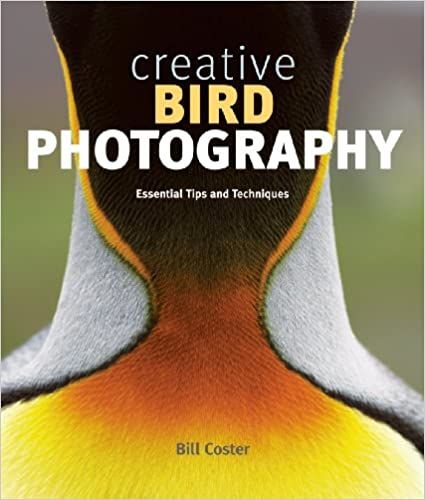 Creative Bird Photography_Bill Coster_9781553655459_Greystone Books